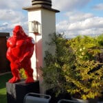 gorille 120 pour exterieur rouge ferrari